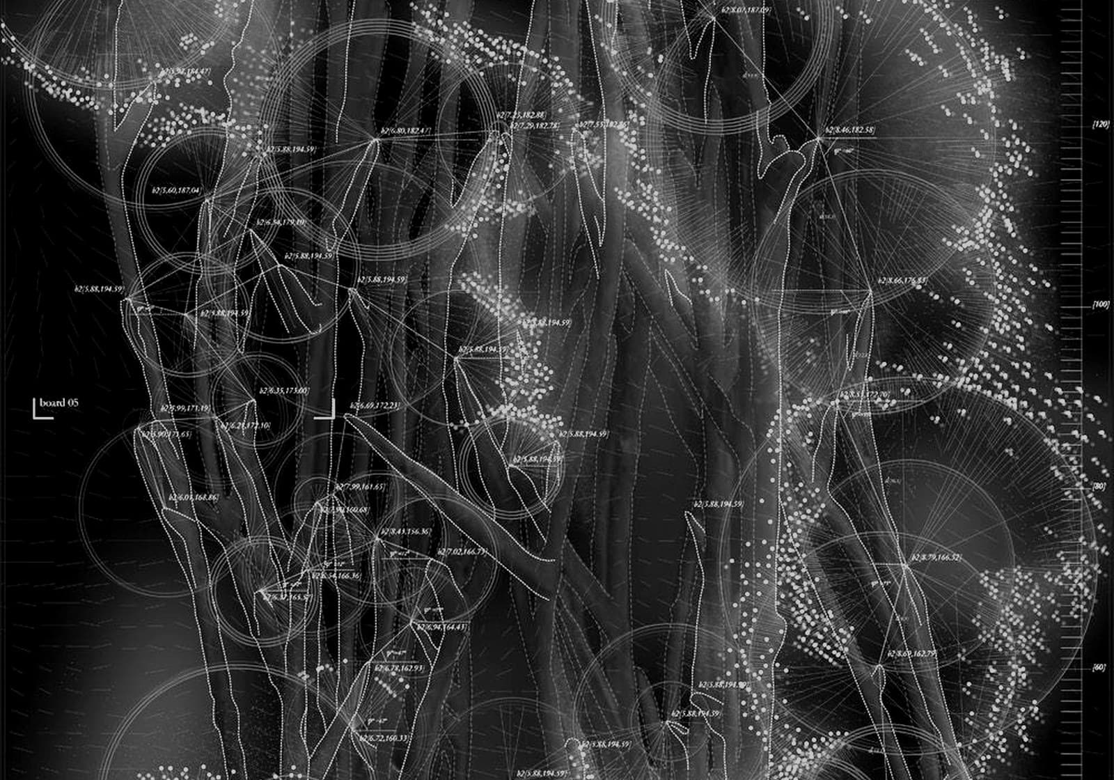 ecosystems visual reference 4