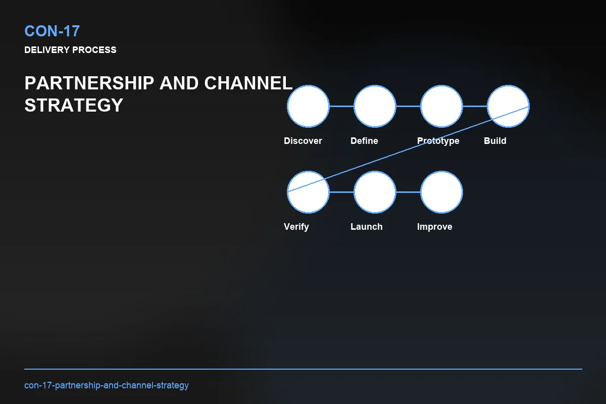 Process visual for Partnership and Channel Strategy