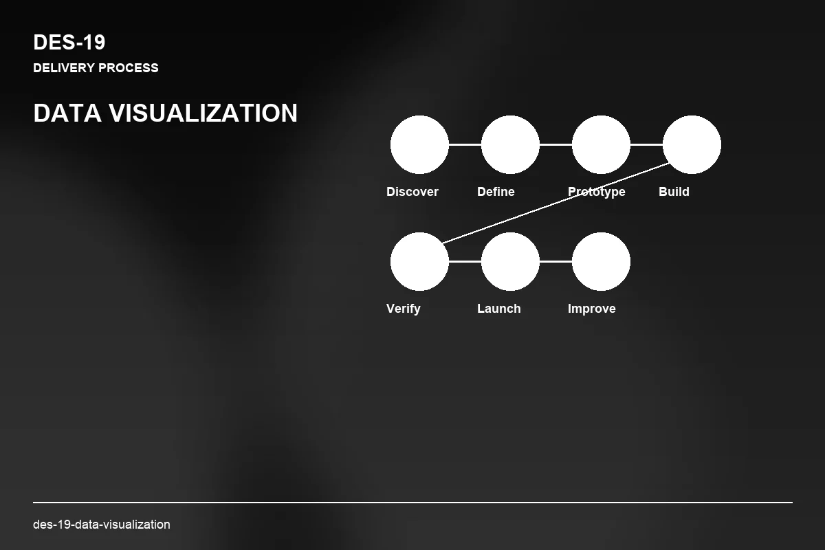 Process visual for Data Visualization