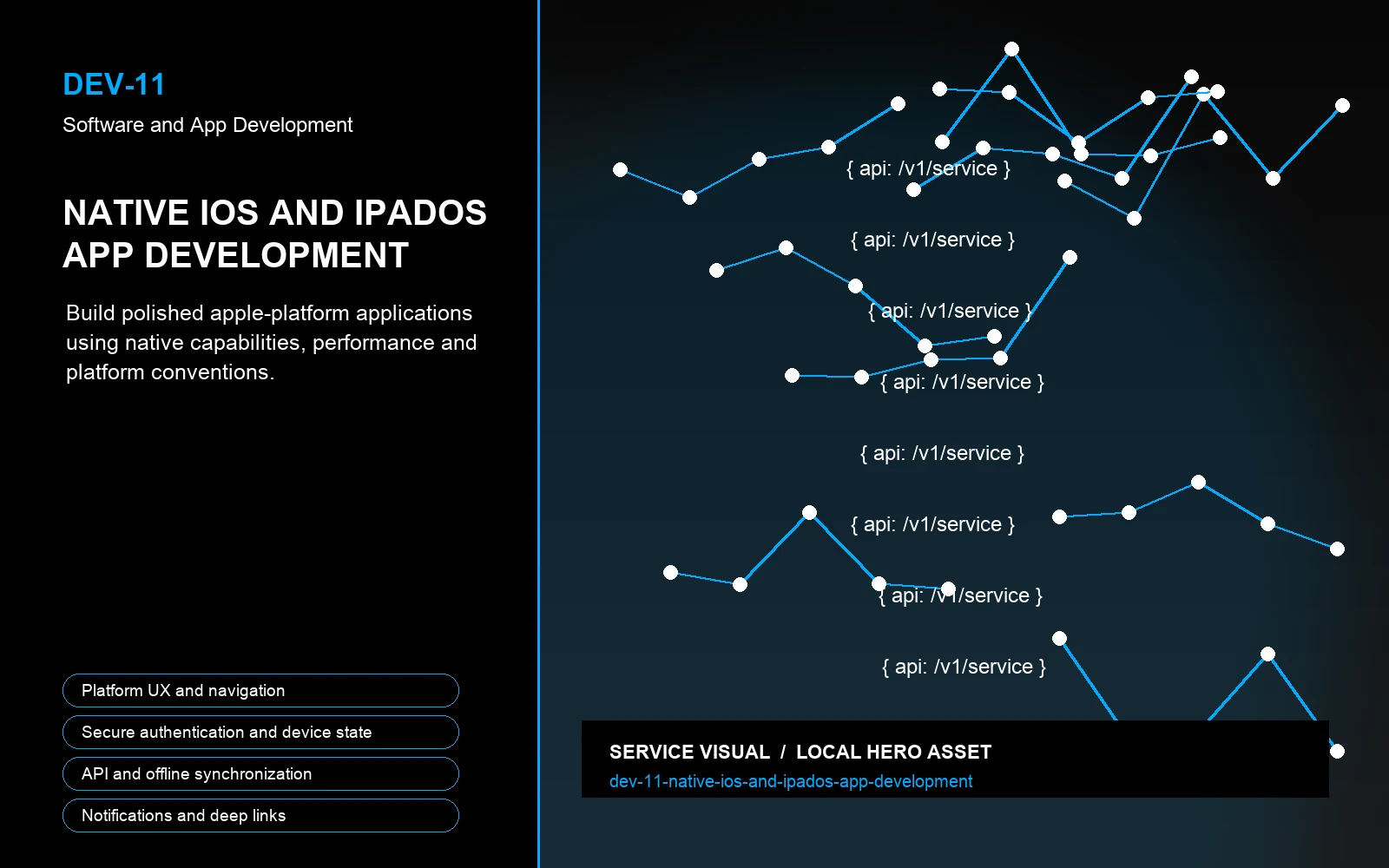 Hero visual for Native iOS and iPadOS App Development