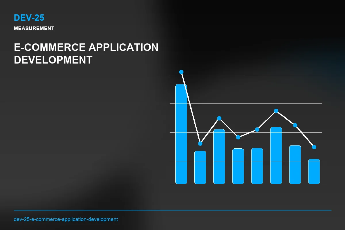 Metrics visual for E-Commerce Application Development