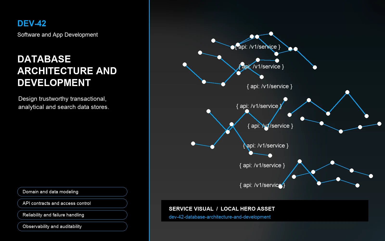 Hero visual for Database Architecture and Development