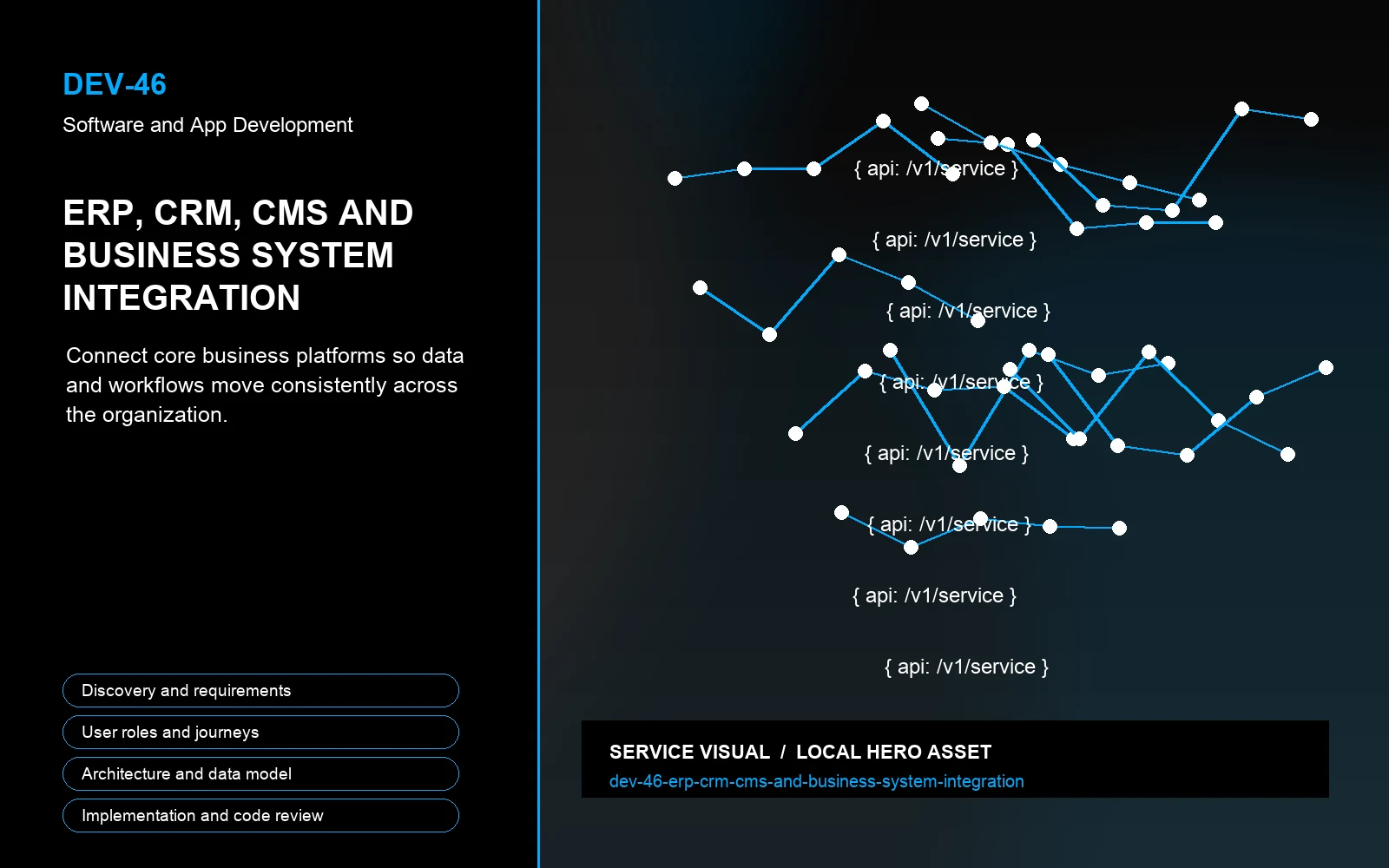 Hero visual for ERP, CRM, CMS and Business System Integration