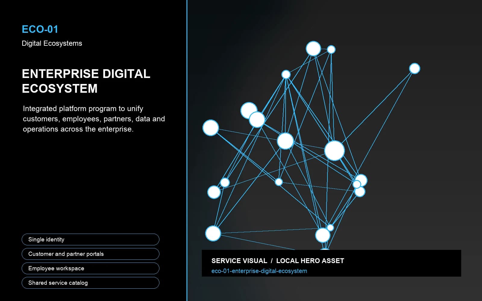 Hero visual for Enterprise Digital Ecosystem