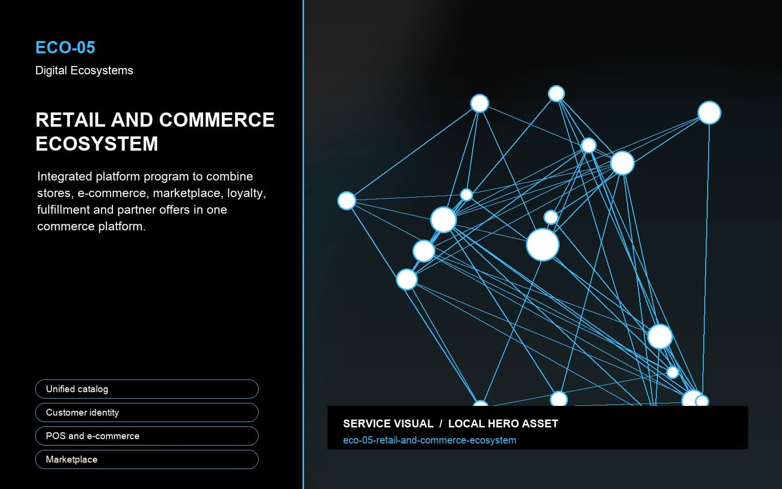 Hero visual for Retail and Commerce Ecosystem
