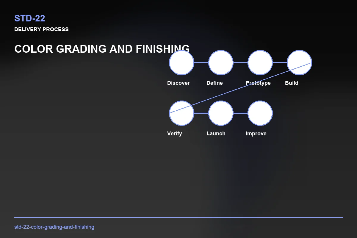 Process visual for Color Grading and Finishing