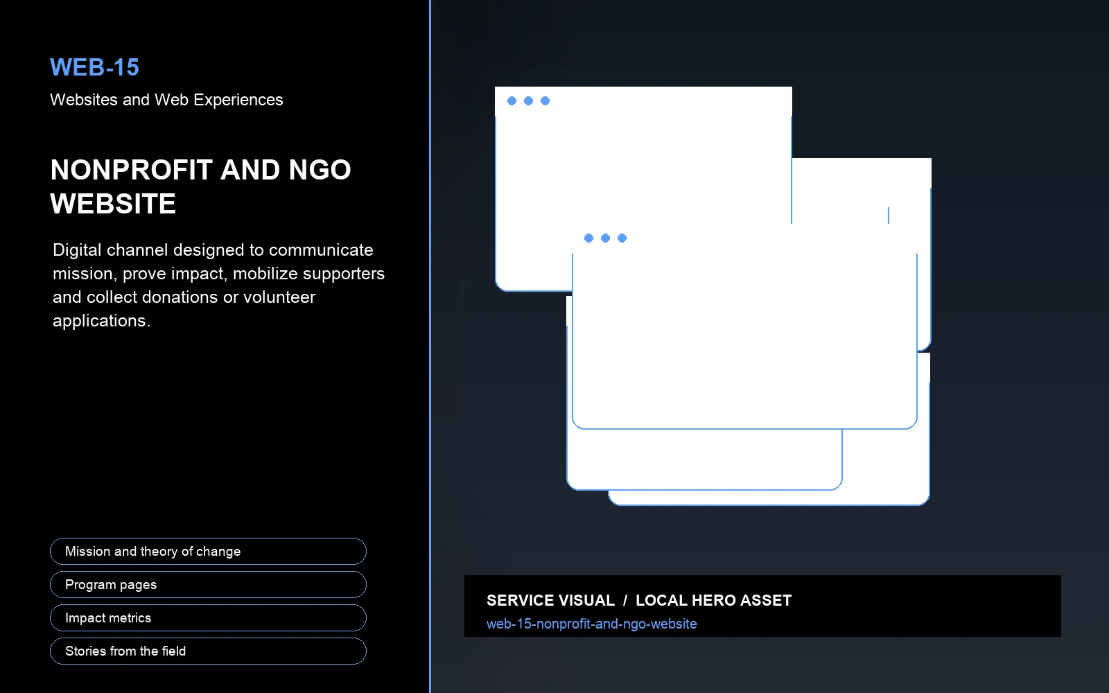 Hero visual for Nonprofit and NGO Website